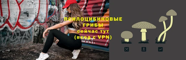 дмт Алексин