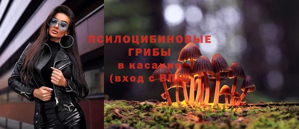 спиды Вуктыл
