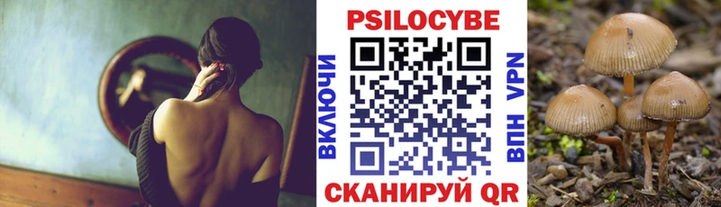 Галлюциногенные грибы Cubensis  наркошоп  Волхов 