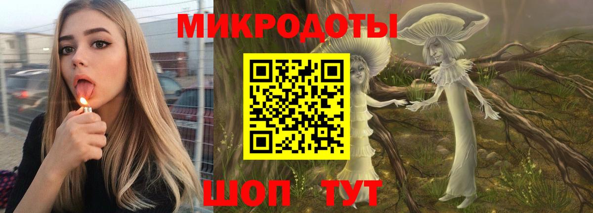 Волхов  Псилоцибиновые грибы мицелий  Вход с VPN 