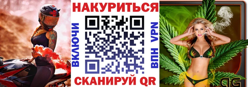 где можно купить   Волхов  omg   МАРИХУАНА гибрид 